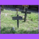 Graves 3.jpg